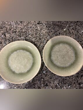 West Elm Dusty Mint Reactive Glaze salad plates set of 2